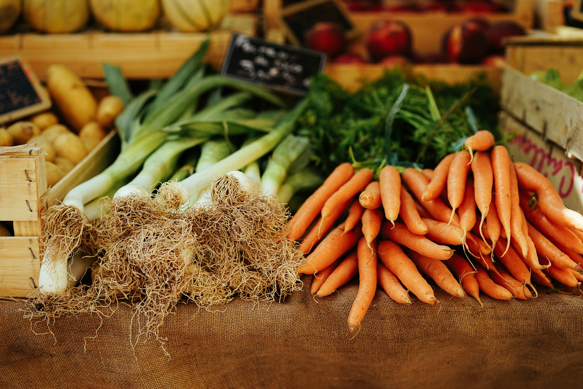 Fresh Vegetables